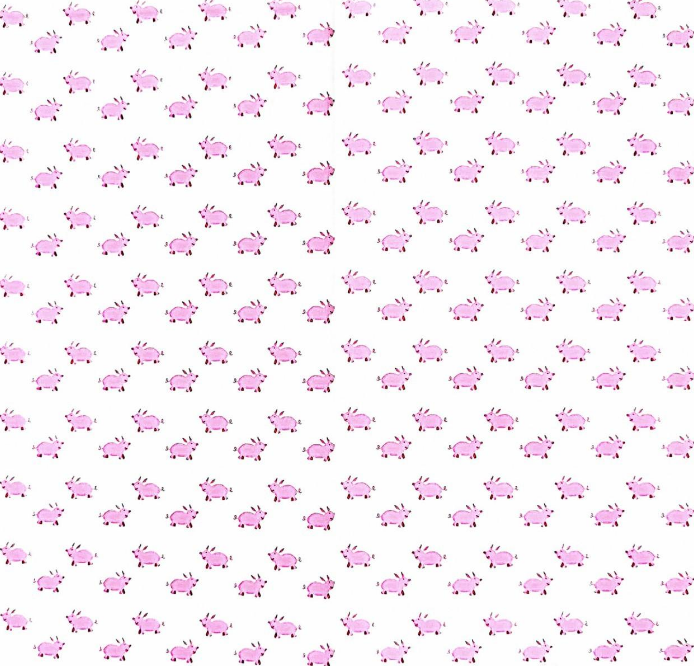 「儿童绘本故事精读」《看情况啰！》——学会换个角度看世界