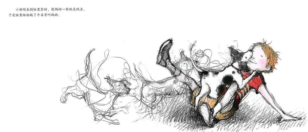 「儿童绘本故事精读」《男孩与小狗》——让我们更懂得爱和珍惜