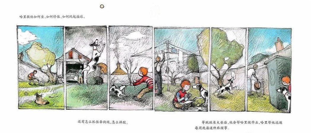 「儿童绘本故事精读」《男孩与小狗》——让我们更懂得爱和珍惜