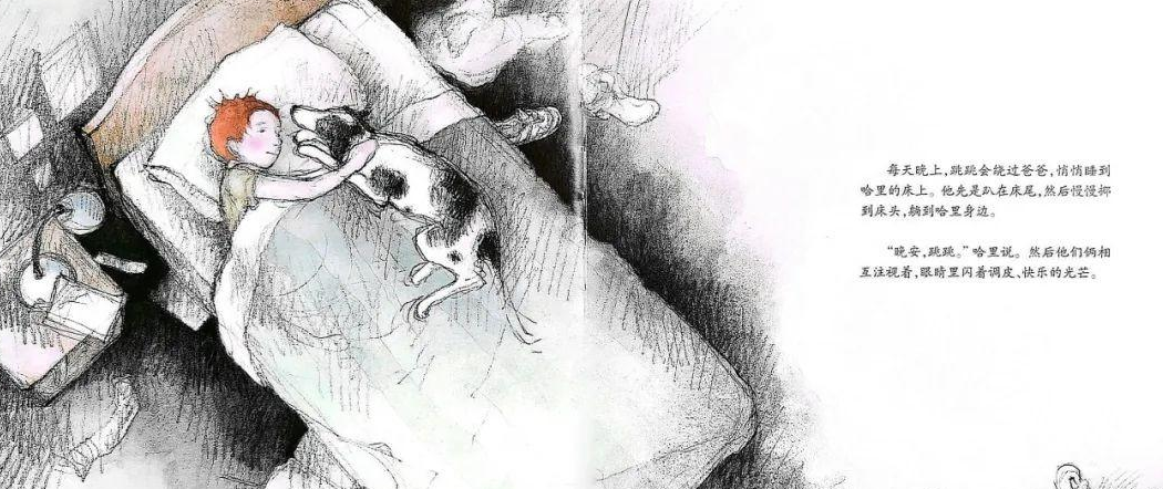 「儿童绘本故事精读」《男孩与小狗》——让我们更懂得爱和珍惜