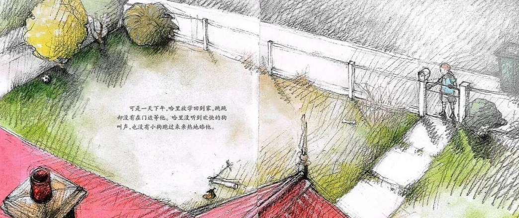 「儿童绘本故事精读」《男孩与小狗》——让我们更懂得爱和珍惜