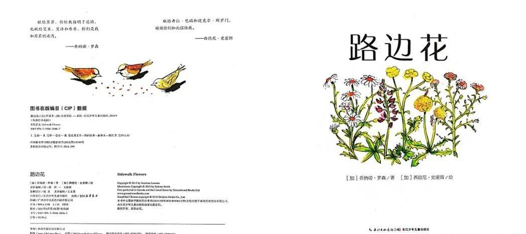 「儿童绘本故事精读」《路边花》——关乎美与发现美