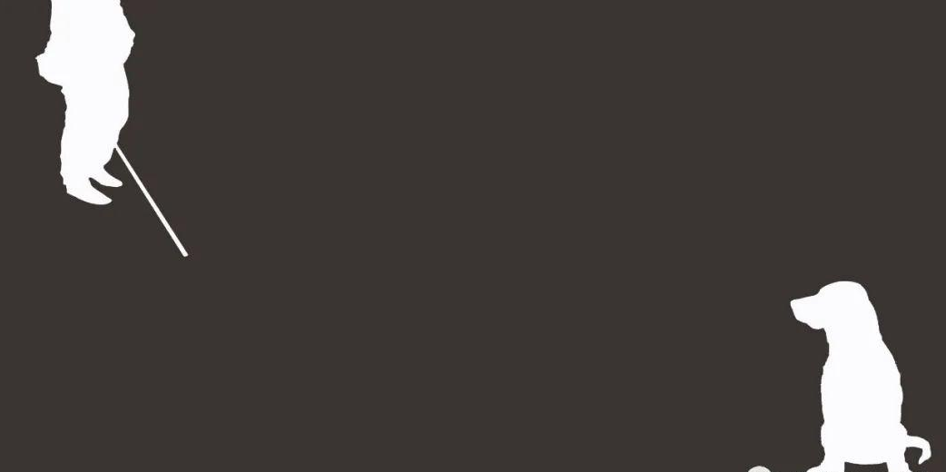 「儿童绘本故事精读」《看不见》——蒙眼游戏体验盲人的世界