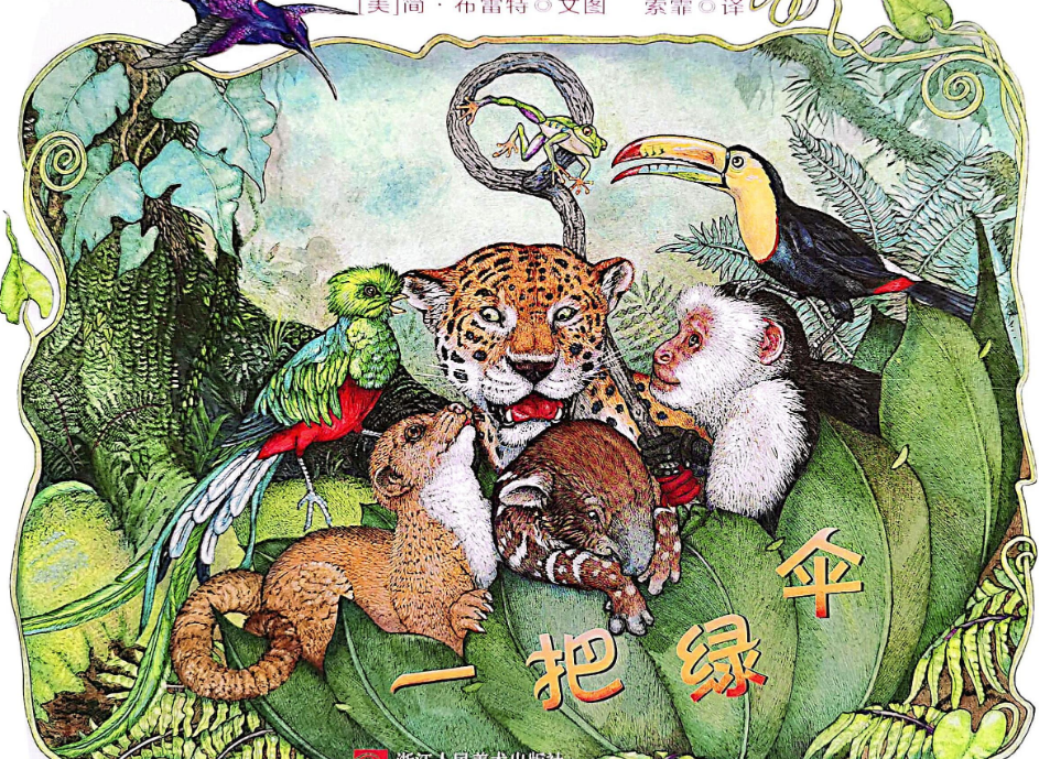 「儿童绘本故事精读」《一把绿伞》——一叶障目的反转插图 「儿童绘本故事精读」《一把绿伞》——一叶障目的反转