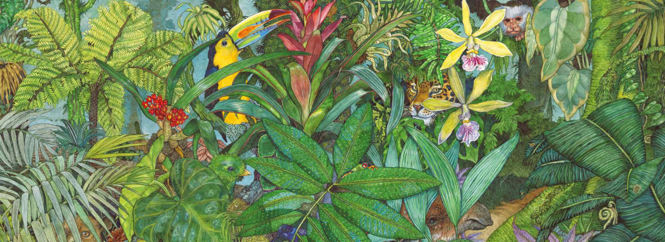 「儿童绘本故事精读」《一把绿伞》——一叶障目的反转插图1 「儿童绘本故事精读」《一把绿伞》——一叶障目的反转