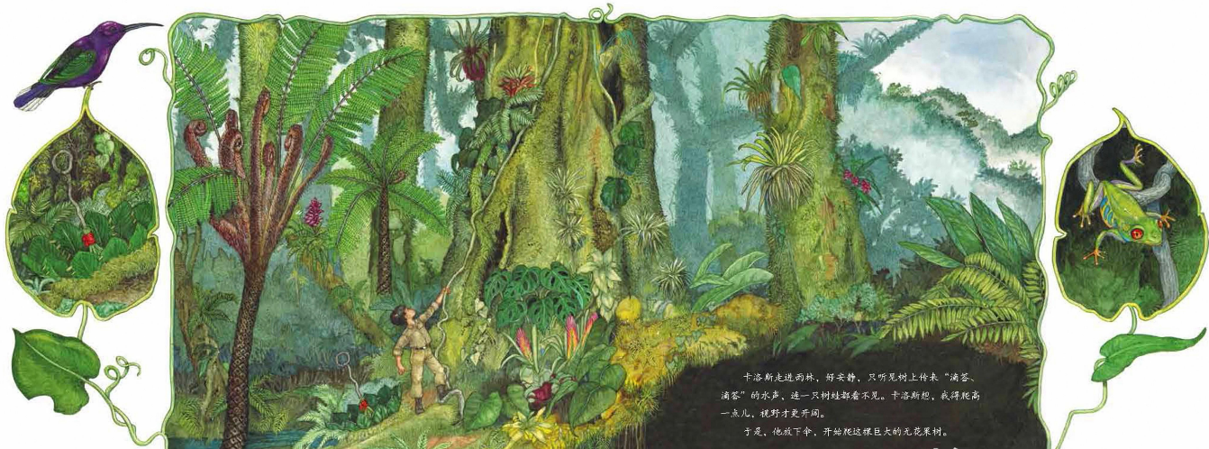 「儿童绘本故事精读」《一把绿伞》——一叶障目的反转插图4 「儿童绘本故事精读」《一把绿伞》——一叶障目的反转