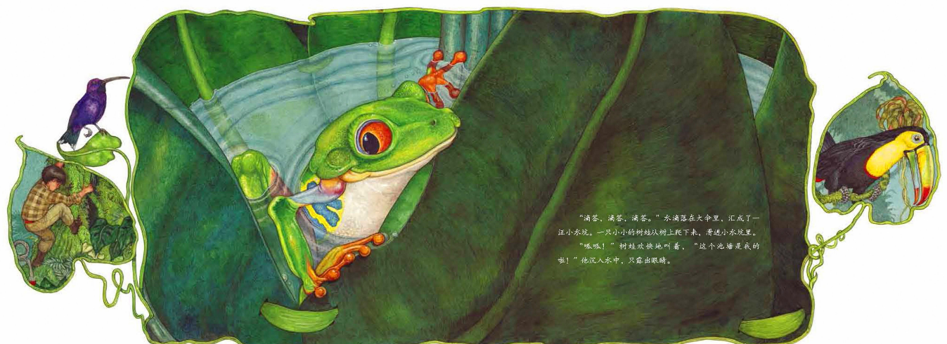 「儿童绘本故事精读」《一把绿伞》——一叶障目的反转插图5 「儿童绘本故事精读」《一把绿伞》——一叶障目的反转