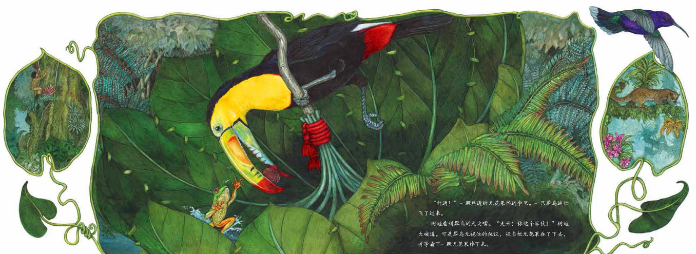 「儿童绘本故事精读」《一把绿伞》——一叶障目的反转插图6 「儿童绘本故事精读」《一把绿伞》——一叶障目的反转