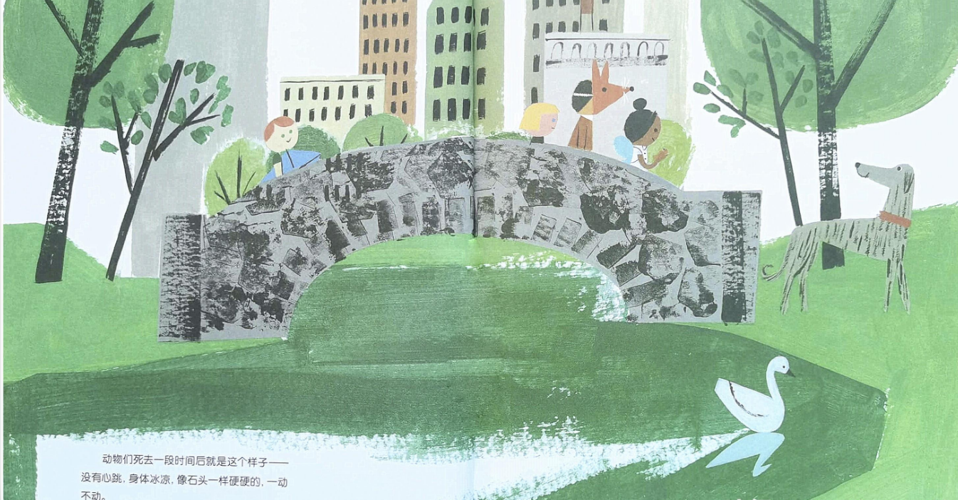 「儿童绘本故事精读」《小鸟的葬礼》——面对生命不幸的正确态度