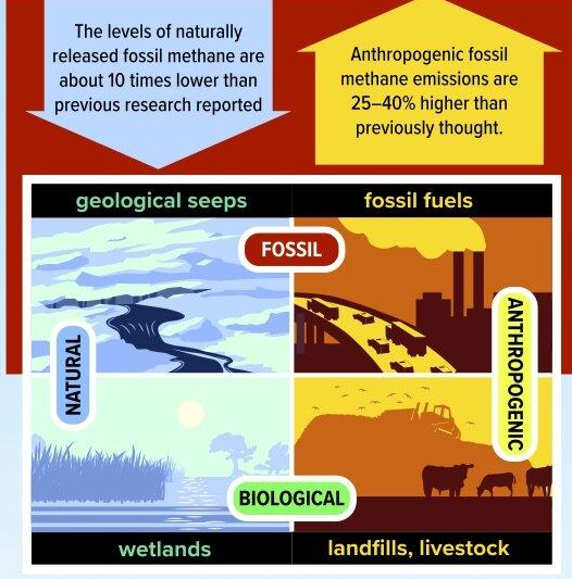 甲烷的人为排放与自然排放哪个更多？（甲烷来源于哪里，有什么影响？）