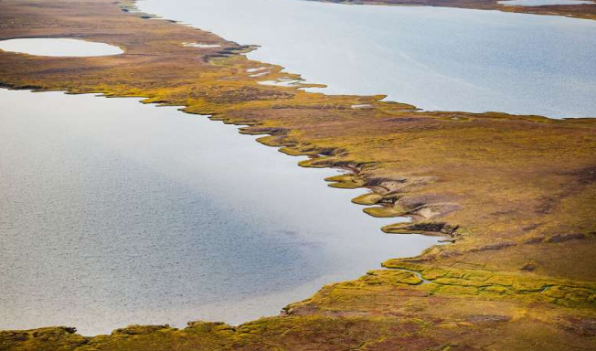 甲烷的人为排放与自然排放哪个更多？（甲烷来源于哪里，有什么影响？）
