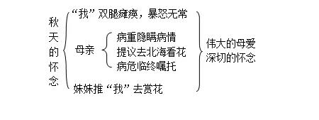 《秋天的怀念》教案教学设计