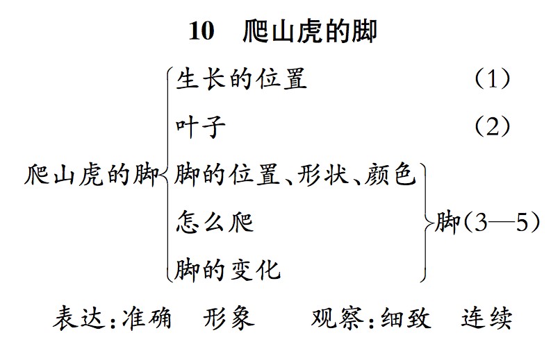 《爬山虎的脚》教案教学设计