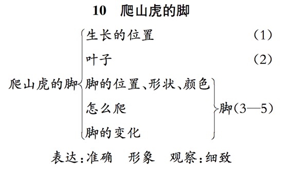 《爬山虎的脚》教案教学设计