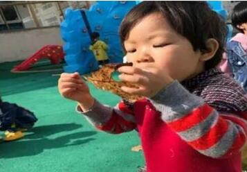 幼儿园大班树叶书签美术教案插图1 幼儿园大班树叶书签美术教案