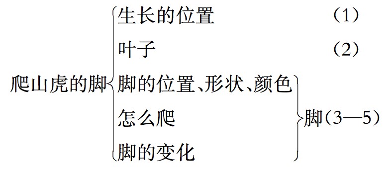 《爬山虎的脚》教案教学设计