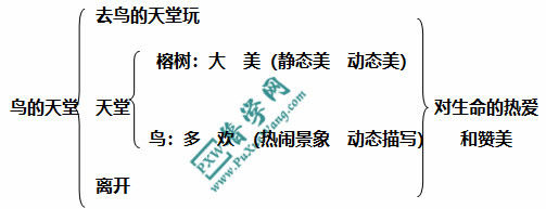 《鸟的天堂》教案教学设计插图1 《鸟的天堂》教案教学设计
