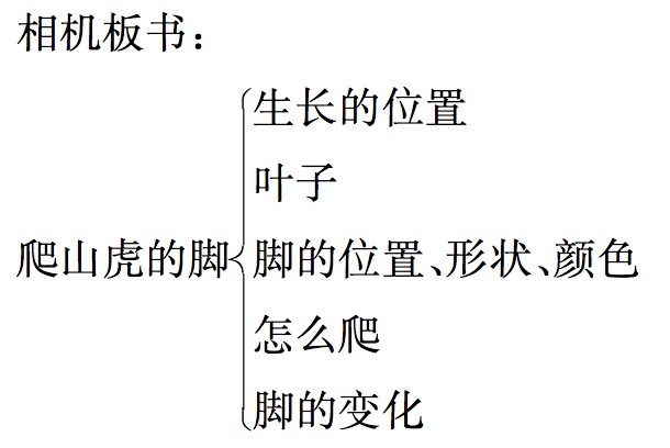 《爬山虎的脚》教案教学设计