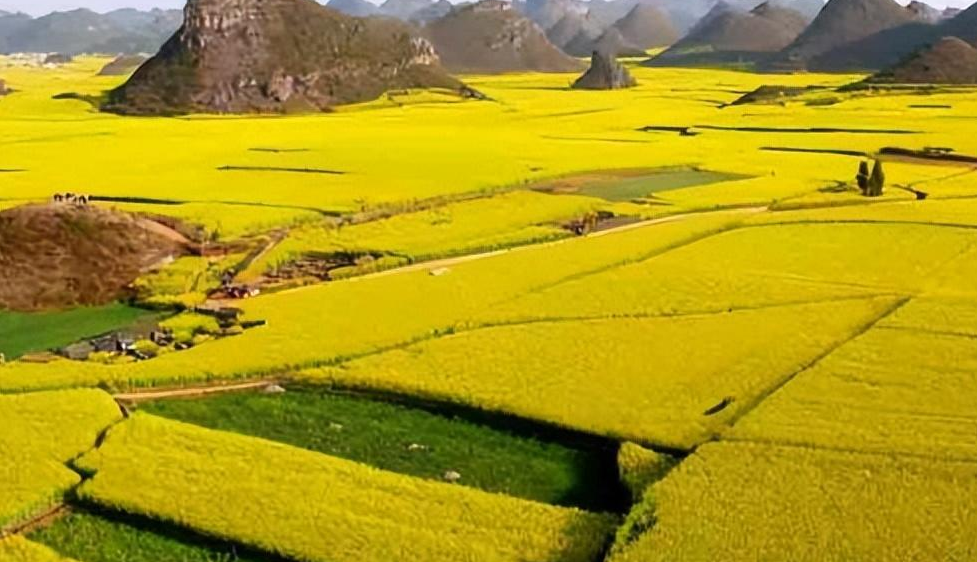 曲靖怎么读？曲靖的读音和意思