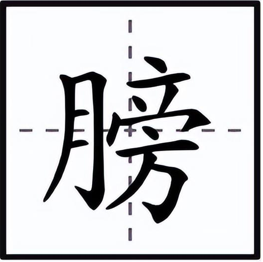 膀怎么读？膀的读音和意思