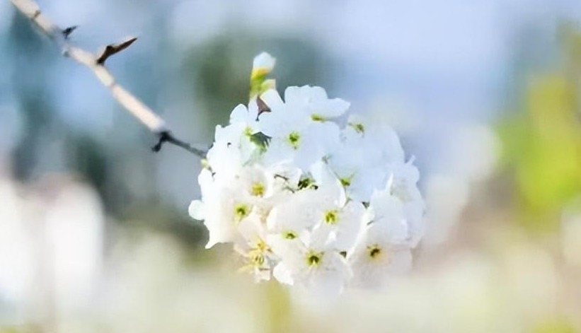 沁人心脾怎么读？沁人心脾的读音和意思