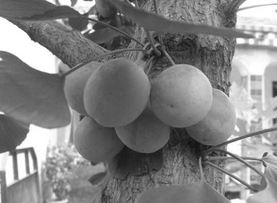 「中华对联故事」徐晞妙对讽幕僚插图2 「中华对联故事」徐晞妙对讽幕僚