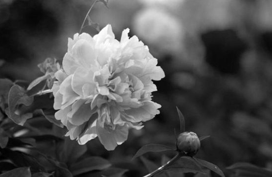 「中华对联故事」独眼进士斗皇帝插图2 「中华对联故事」独眼进士斗皇帝