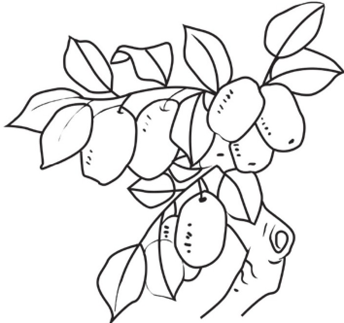 「绕口令大全:数字篇」酸枣子插图1 「绕口令大全:数字篇」酸枣子