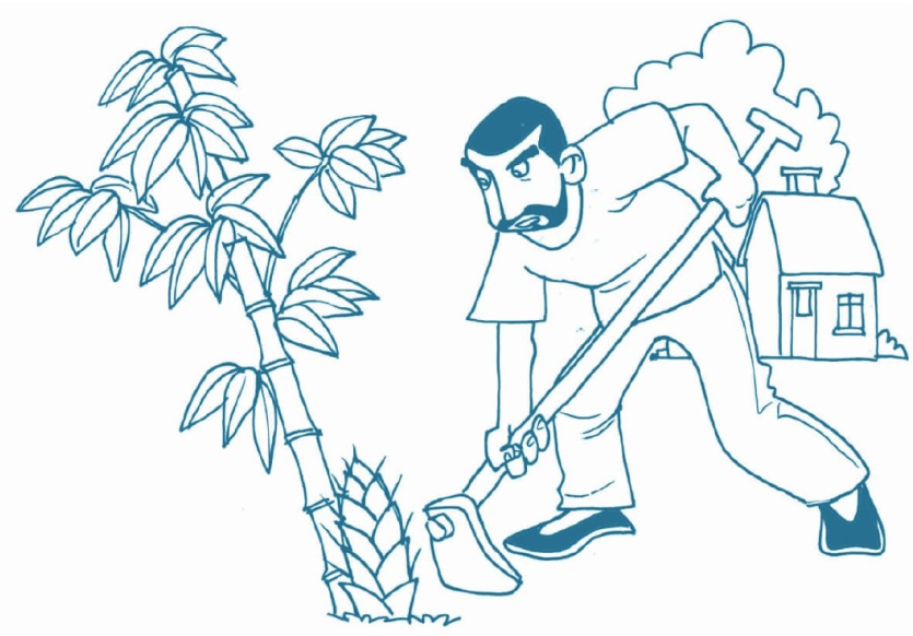 「绕口令大全：植物篇」竹笋