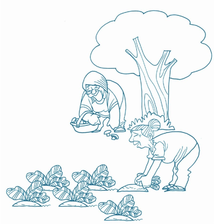 「绕口令大全：人物篇」婆婆嬷嬷