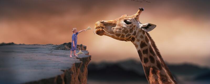 孩子喜欢探险的原因 孩子爱冒险怎么办插图1 孩子喜欢探险的原因 孩子爱冒险怎么办