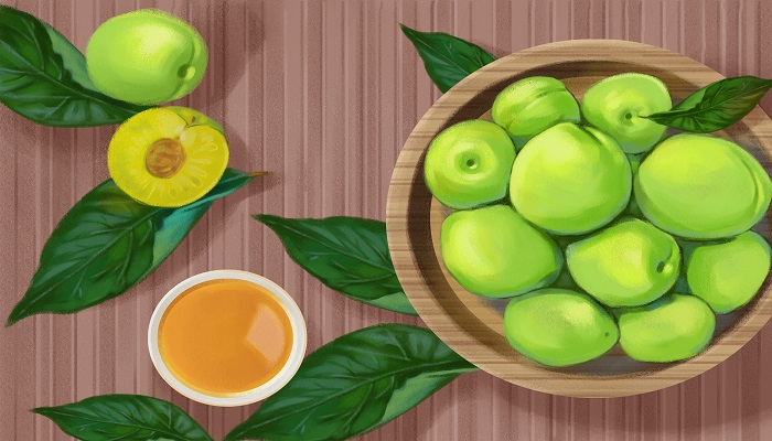 五月雨晴梅子肥杏花吹尽燕飞飞意思 五月雨晴梅子肥是谁写的插图2 五月雨晴梅子肥杏花吹尽燕飞飞意思 五月雨晴梅子肥是谁写的