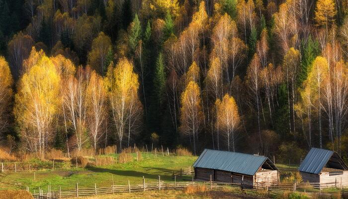 空山新雨后 天气晚来秋表达了诗人什么感情 空山新雨后天气晚来秋抒发了什么情感插图2 空山新雨后 天气晚来秋表达了诗人什么感情 空山新雨后天气晚来秋抒发了什么情感