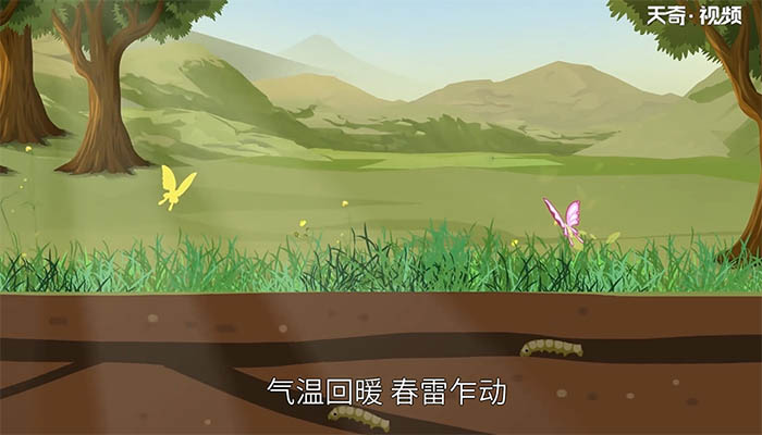 春雷响万物长这句谚语是什么意思 春雷响万物长这句谚语译文插图2 春雷响万物长这句谚语是什么意思 春雷响万物长这句谚语译文