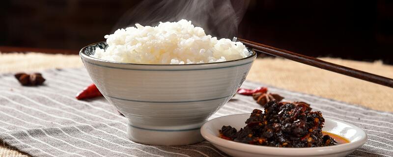 碳水化合物是什么 碳水化合物指的是什么插图1 碳水化合物是什么 碳水化合物指的是什么