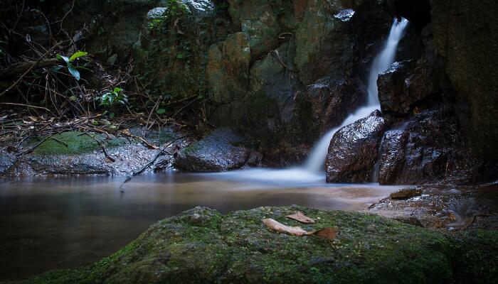 小石潭记第四段描写了怎样的气氛 小石潭记第四段赏析插图2 小石潭记第四段描写了怎样的气氛 小石潭记第四段赏析