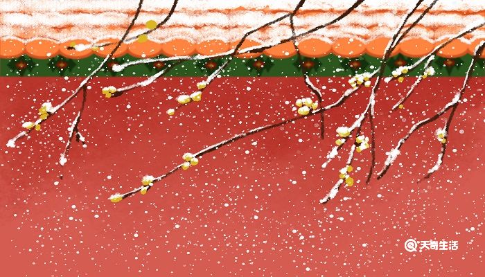 墙角数枝梅凌寒独自开的寓意 墙角数枝梅凌寒独自开的寓意是什么