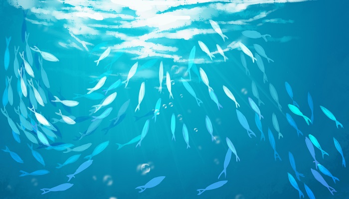 海底两万里土人围攻概括 海底两万里土人围攻故事情节插图3 海底两万里土人围攻概括 海底两万里土人围攻故事情节