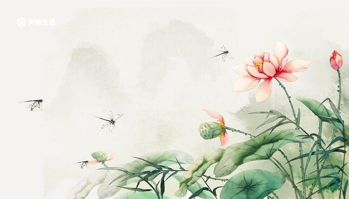 晓出净慈寺送林子方题目意思 晓出净慈寺送林子方题目意思是什么插图2 晓出净慈寺送林子方题目意思 晓出净慈寺送林子方题目意思是什么