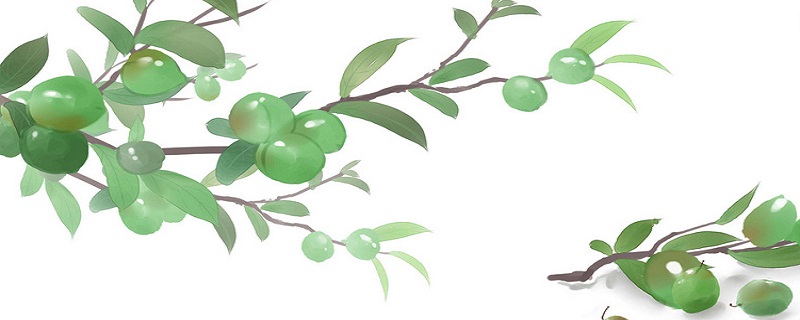 五月雨晴梅子肥杏花吹尽燕飞飞意思 五月雨晴梅子肥是谁写的插图1 五月雨晴梅子肥杏花吹尽燕飞飞意思 五月雨晴梅子肥是谁写的