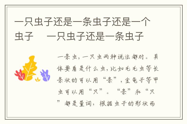 一只虫子还是一条虫子还是一个虫子 一只虫子还是一条虫子插图 一只虫子还是一条虫子还是一个虫子 一只虫子还是一条虫子