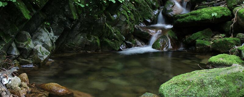小石潭记第四段描写了怎样的气氛 小石潭记第四段赏析插图1 小石潭记第四段描写了怎样的气氛 小石潭记第四段赏析