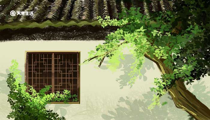 留别王维是一首什么诗 留别王维这首诗是谁写的插图3 留别王维是一首什么诗 留别王维这首诗是谁写的