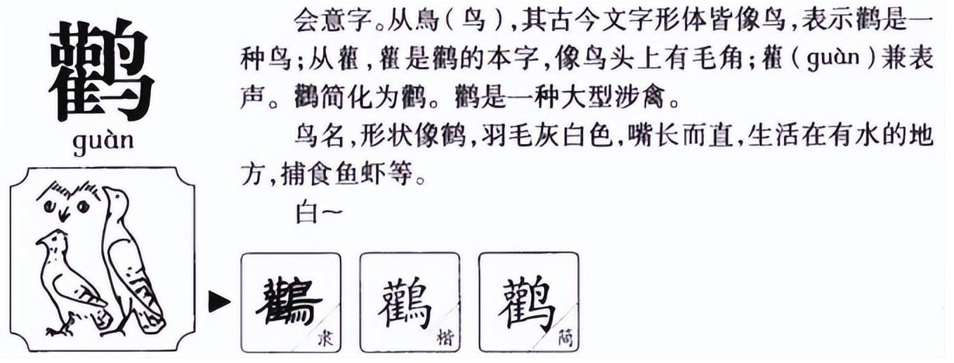 秃鹳怎么读?秃鹳的读音和意思插图1 秃鹳怎么读?秃鹳的读音和意思