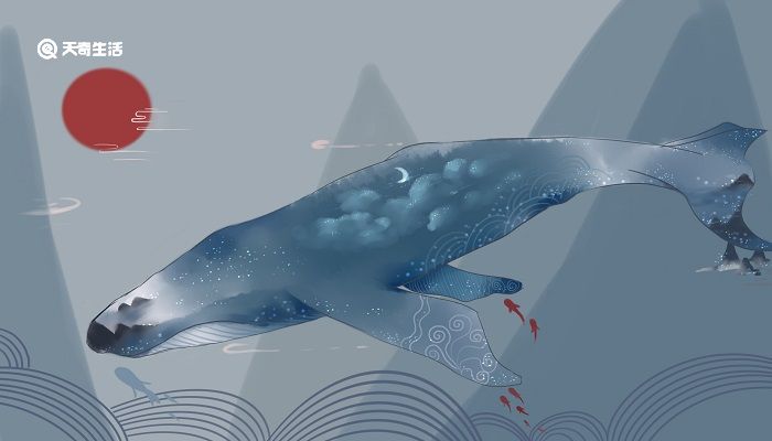 北冥有鱼借鲲鹏的寓言说明了什么道理 北冥有鱼的寓意说明了什么道理插图2 北冥有鱼借鲲鹏的寓言说明了什么道理 北冥有鱼的寓意说明了什么道理