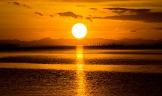 传说中太阳里面住着什么鸟 传说中太阳里面住着的鸟介绍插图 传说中太阳里面住着什么鸟 传说中太阳里面住着的鸟介绍