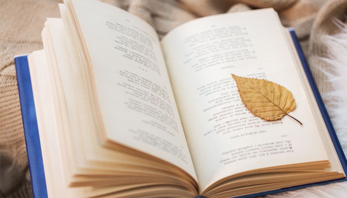 一人虽听之的之是什么意思 一人虽听之中之的意思插图2 一人虽听之的之是什么意思 一人虽听之中之的意思