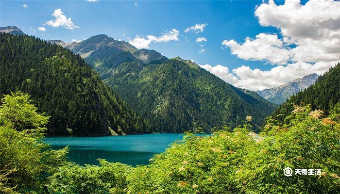 望天门山描写什么景色 望天门山描写的是什么景色