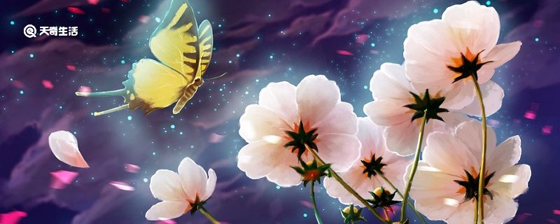 花钟的中心思想是什么 花钟课文中心插图1 花钟的中心思想是什么 花钟课文中心