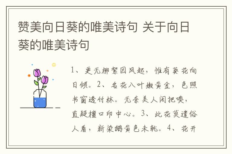 赞美向日葵的唯美诗句 关于向日葵的唯美诗句插图 赞美向日葵的唯美诗句 关于向日葵的唯美诗句